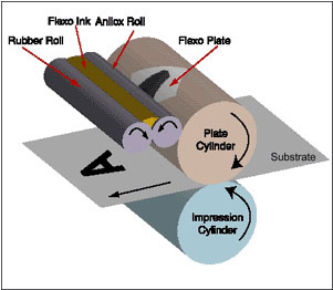 cong ty in, c&ocirc;ng ty in, in an